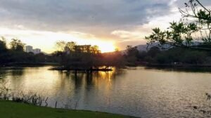 Parque-centenário-imigração-japonesa