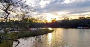 Parque-centenário-da-imigração-japonesa